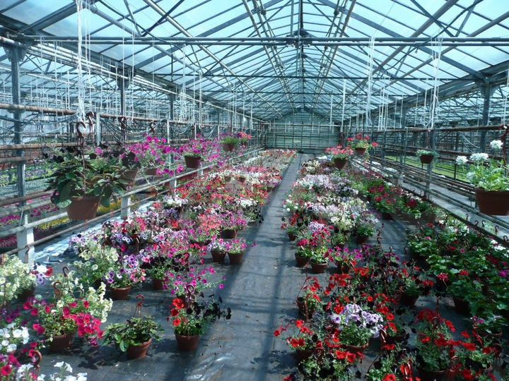 Теплица 1000 м²