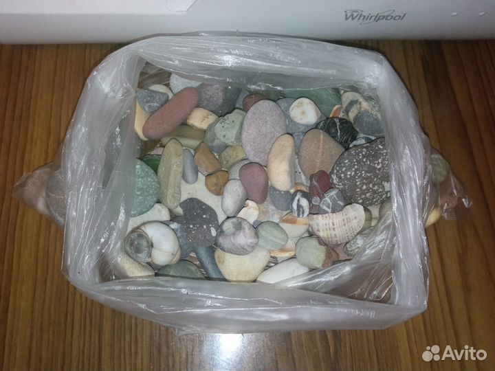 Морские ракушки и камни