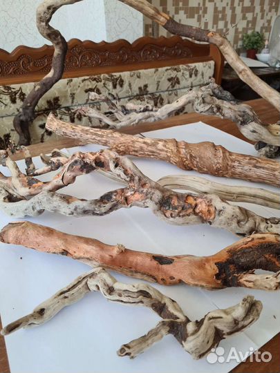 Морские коряги дрифтвуд