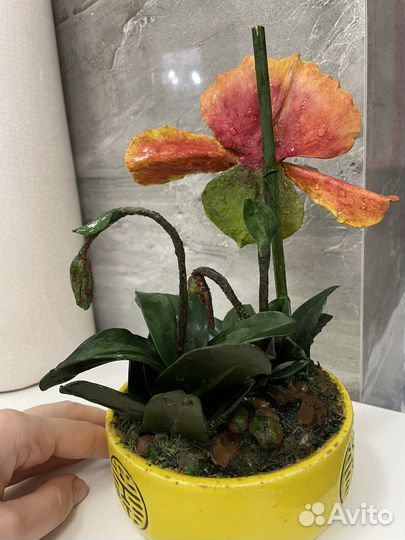 Орхидея пафиопедилум из полимерной глины