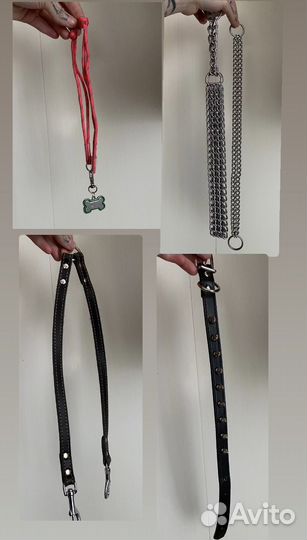 Товары для собак