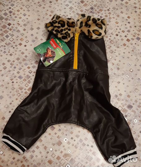 Одежда для собак