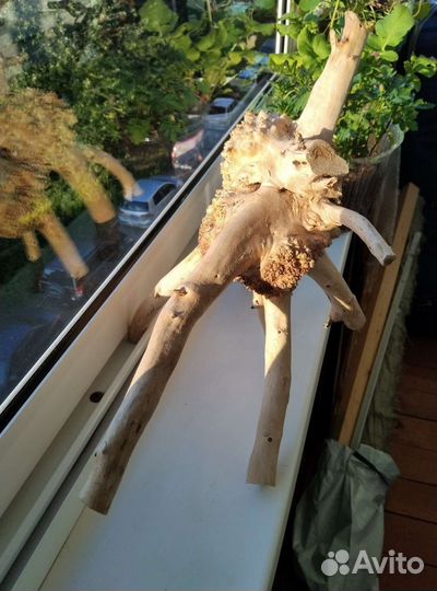 Коряга в террариум или для декора