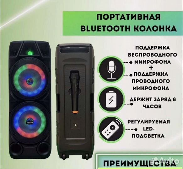 Портативная колонка с караоке