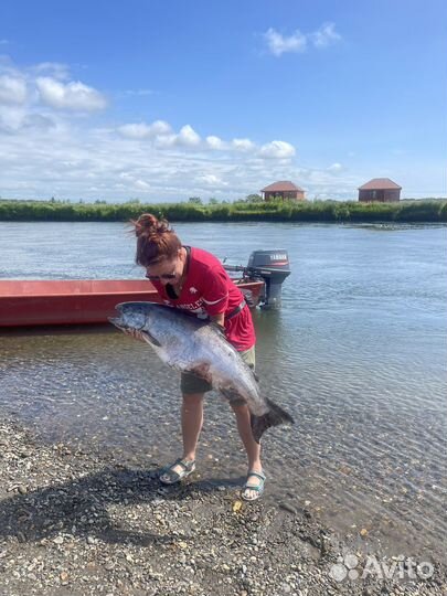 Рыбалка на камчатке «Чавыча»