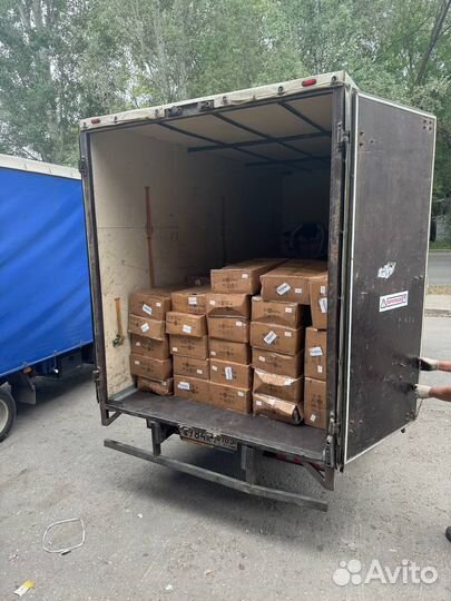 Сапборд koi 350