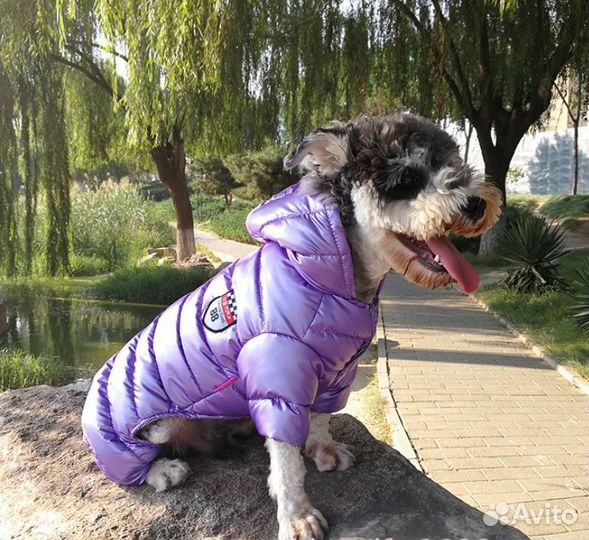 Зимний комбинезон для собак