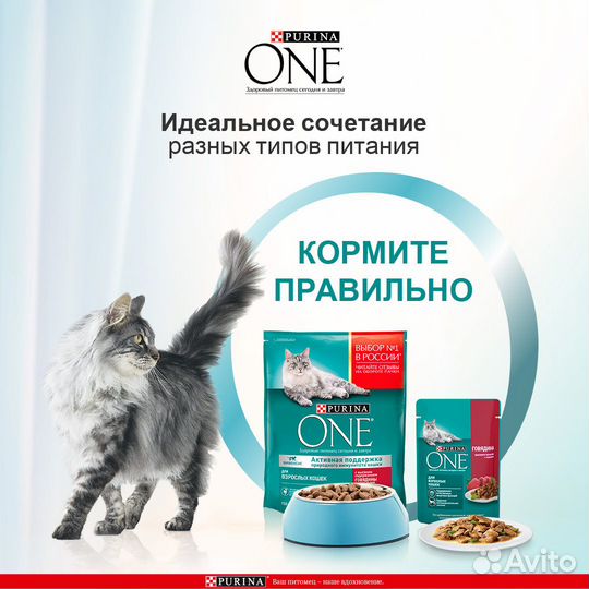 Корм purina ONE сухой корм Природа Здоровья для вз