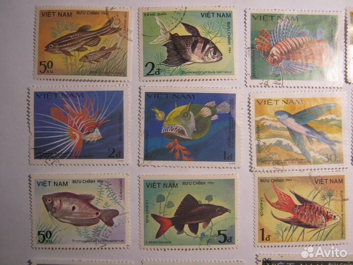 Серия марок Рыбы