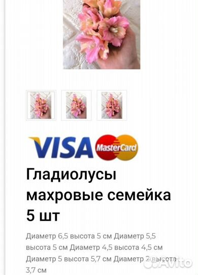 Форма гладиолусов