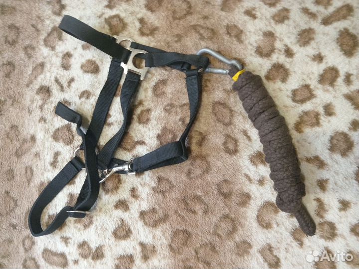 Вещи для конного спорта