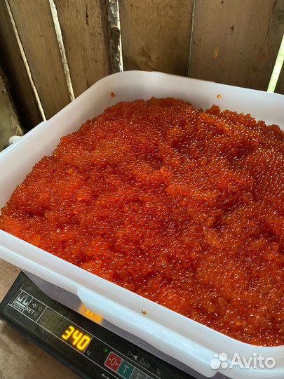 Икра кеты Хабаровский край