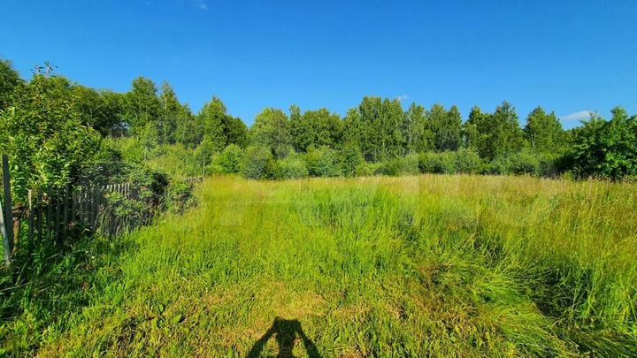 Участок 8,5 сот. (СНТ, ДНП)