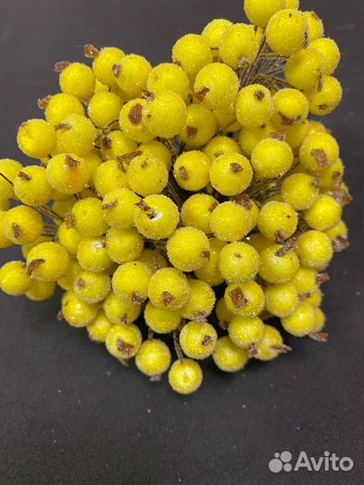 Ягоды в Сахаре декоративные