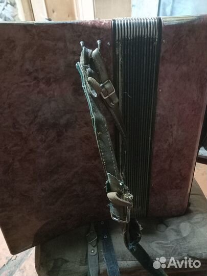 Аккордеон москва