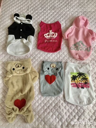 Одежда для собак или кошек