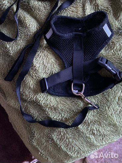 Шлейка для маленькой собаки или кошки