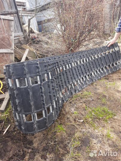 Гесеница Рысь