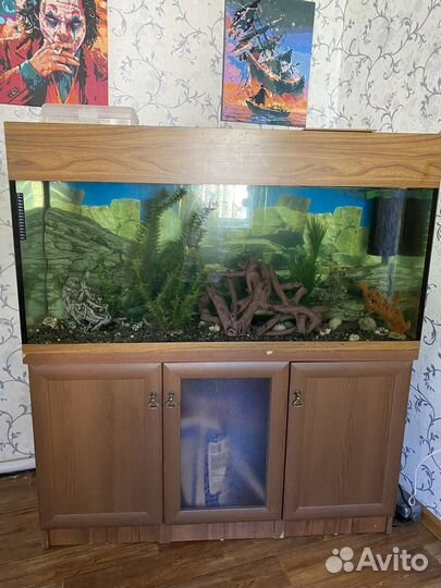 Аквариум с тумбой 350 литров