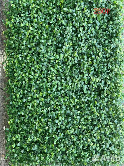 Трава искусственная самшит газон