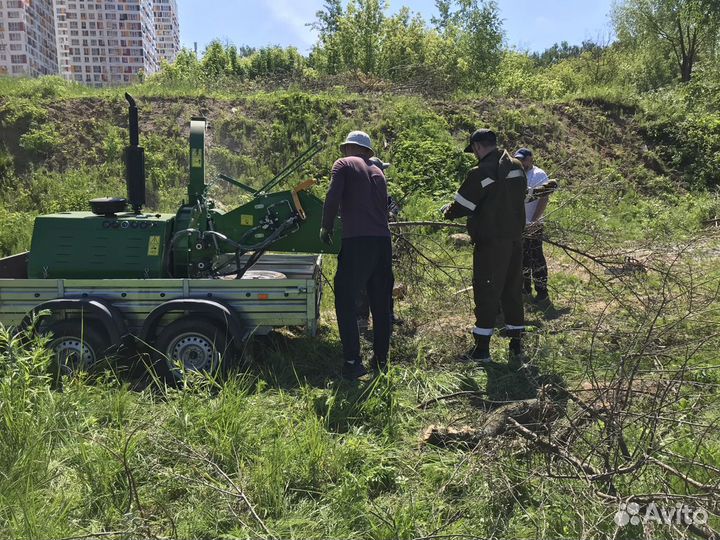 Измельчитель в аренду
