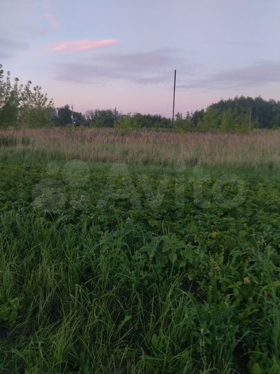 Участок 19 сот. (СНТ, ДНП)