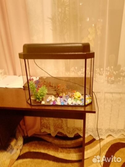 Аквариум
