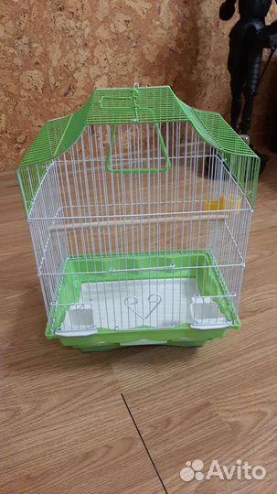 Корелла попугай