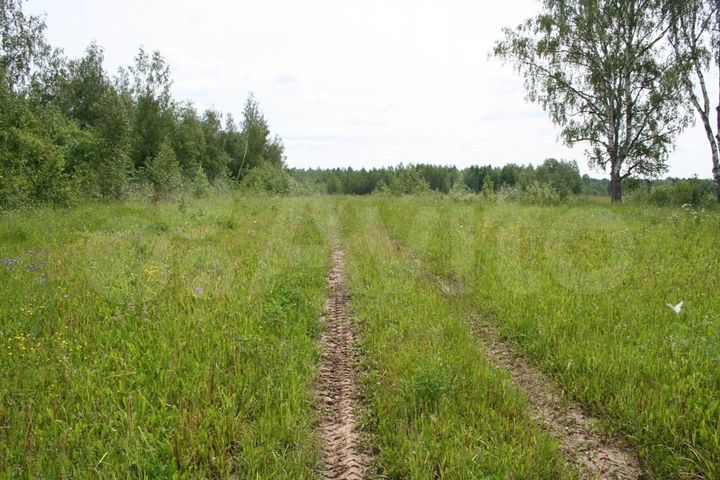 Участок 6 га (СНТ, ДНП)