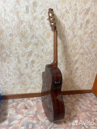 Электроклассическая гитара ibanez