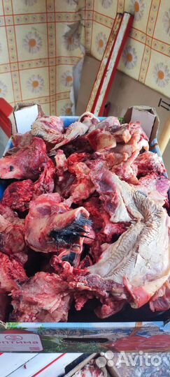 Корма для животных