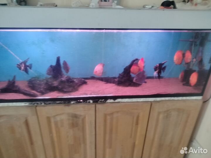 Украшение для аквариума