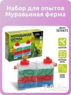 Муравьиная ферма