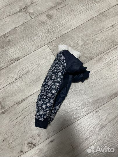 Одежда для собак мелких пород 2шт