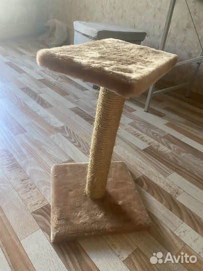 Когтеточка