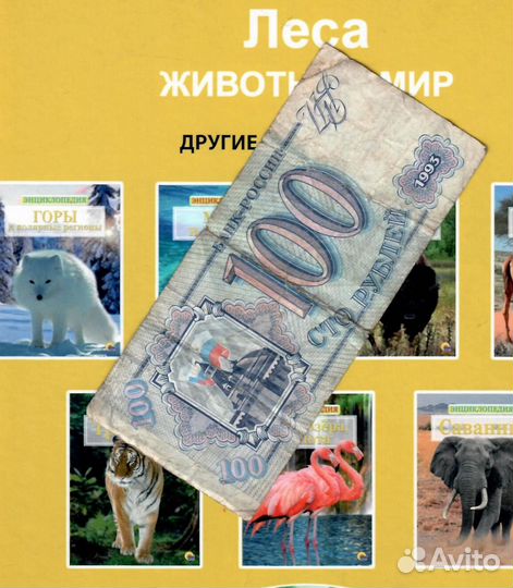 100 рублей 1993