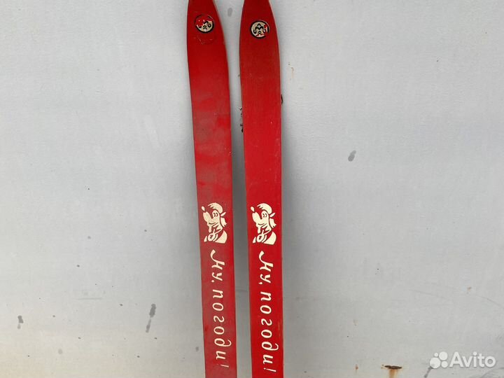 Беговые лыжи