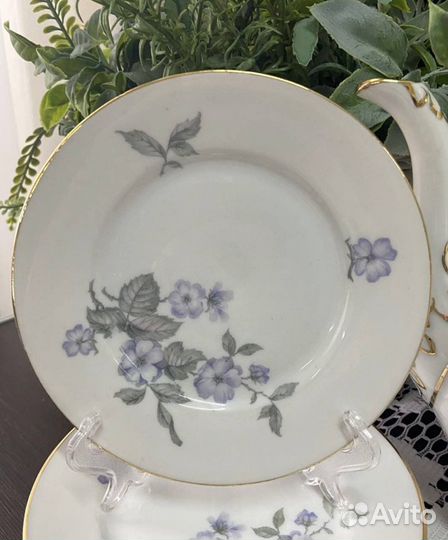 Сервиз чайный Carl Tielsch