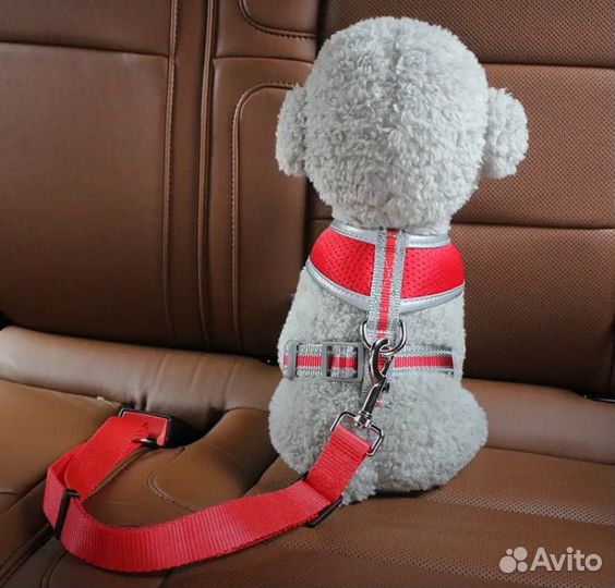 Автомобильный поводок / ремень новый