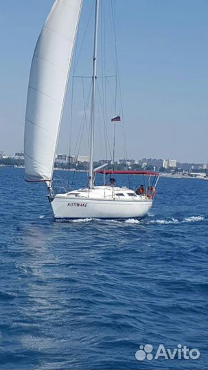 Яхты Катера Рыбалка Дайвинг Парашют Джиппинг