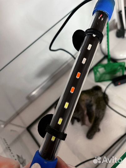 Аквариум + фильтр, нагреватель, лампа, сифон