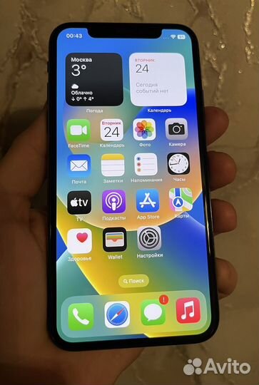 iPhone X, 256 ГБ