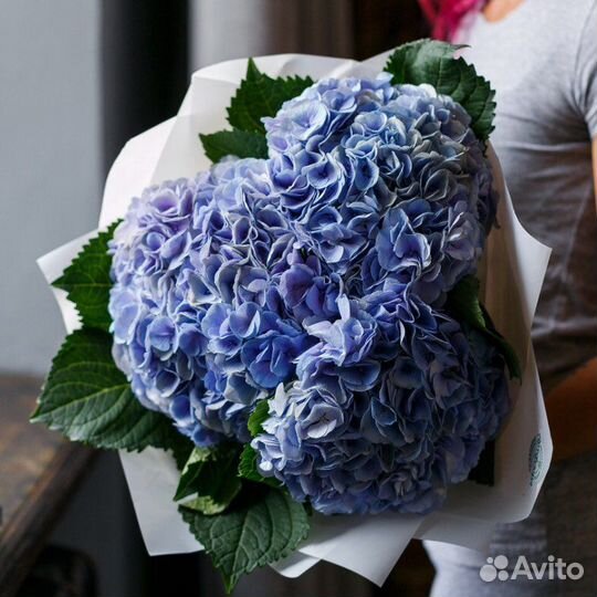 Букет из гортензий 11 21 31 41 51