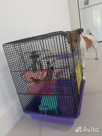 Клетка для хомяка