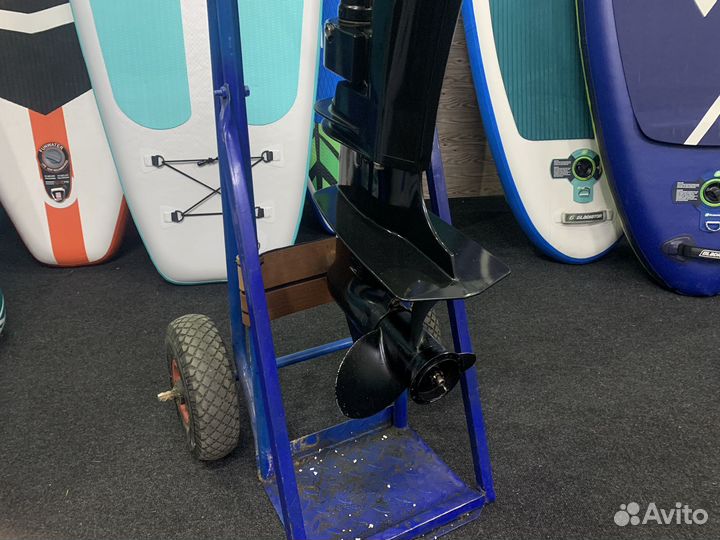 2-х тактный лодочный мотор Suzuki (Сузуки) DT9.9AS