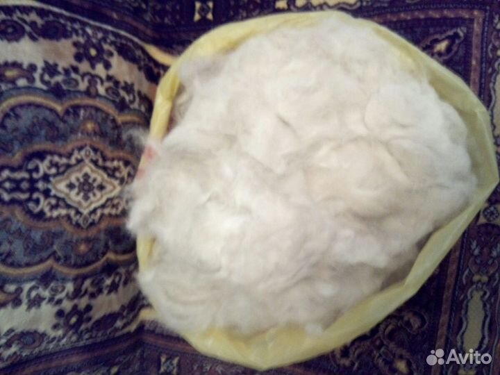 Шерсть собачья (пух)