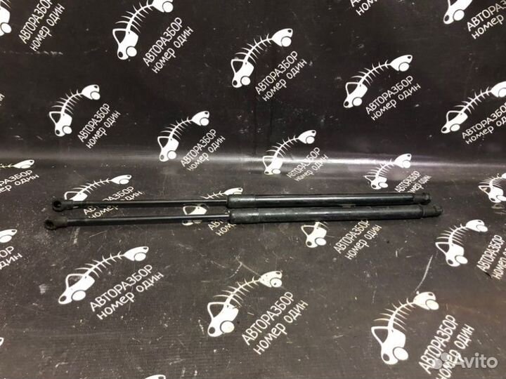 Амортизатор двери багажника Nissan Qashqai J10E