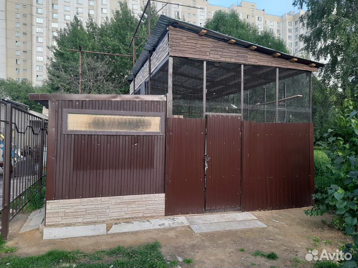 Голубятня продажа