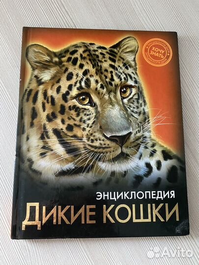Энциклопедия дикие кошки