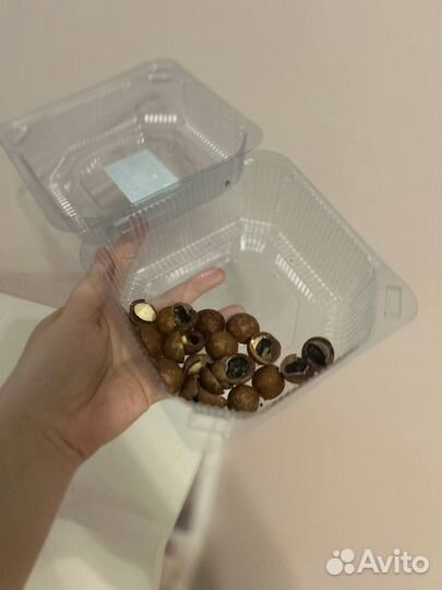 Скорлупа ореха макадамия 40 г